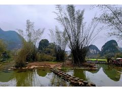 -靖西鹅泉风景区