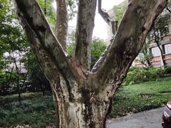 -浙江大学(玉泉校区)