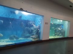 -上海长江河口科技馆