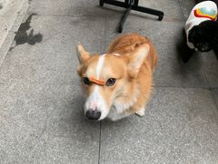 -祝幺妹火锅(裕华村总店)