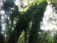 -七仙岭温泉国家森林公园
