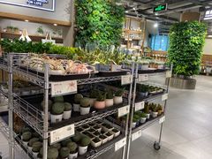 -鹿岛会员店 (龙湖三千集天街店)