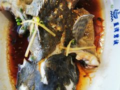 -蓝湾碧波·老字号·疍家非遗海上餐厅