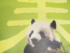 -眉州东坡(东坝店)