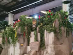 -南宫温泉水世界