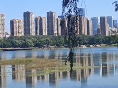 -长白岛森林公园