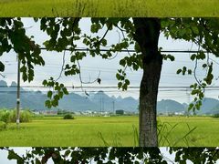 -桂林兴坪漓江