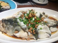 姜葱霸王鱼-淇乐多品味馆(江南大道店)