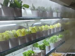 -领鲜活海鲜榴莲自助火锅(东门店)