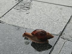 -深圳市人才园(深南大道店)