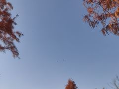-七桥瓮公园