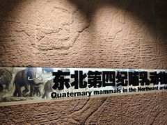 -大庆市博物馆