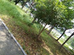 -梁鸿国家湿地公园
