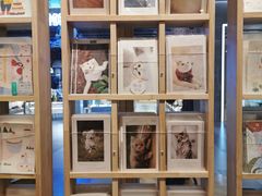 -猫的天空之城概念书店(印象城购物中心店)