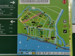 -合肥滨湖国家森林公园