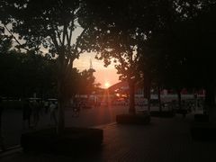 -南京奥林匹克体育中心-体育馆