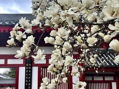 -大慈恩寺(大雁塔)