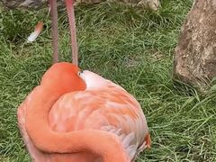 -沈阳森林动物园