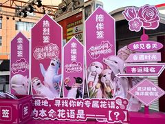 -海合安武汉极地海洋公园