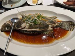 -望乡楼上海菜(日月光店)