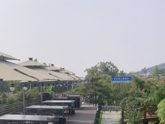 -蘇河湾·新鲁菜·泰山宴(泰山店)
