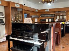 -秦川乐器(河西店)