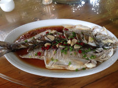 iphone_upload_pic-四季园农家乐