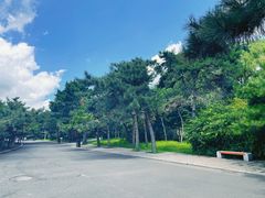 -北陵公园