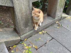 -狼山风景名胜区