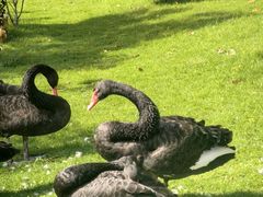 -惠州金海湾嘉华度假酒店