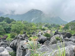 -千岛湖石林
