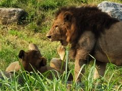 -北京野生动物园
