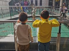 -陕西自然博物馆