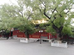 -中央音乐学院歌剧音乐厅