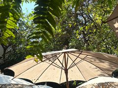 -Fern Forest Cafe