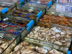 -明记海鲜大排档(巽寮湾店)
