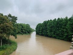 -上海海湾国家森林公园