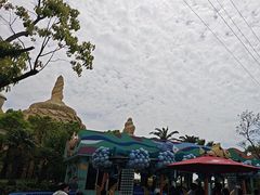 -上海海昌海洋公园