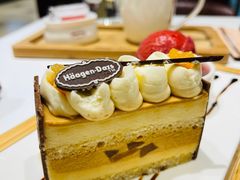 -哈根达斯(陆家浜路店)