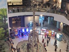 -辽宁古生物博物馆