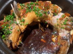 -金龙寨(解西店)