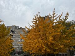 -辽宁大学(崇山校区)