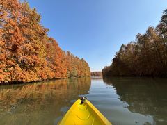 -上海海湾国家森林公园