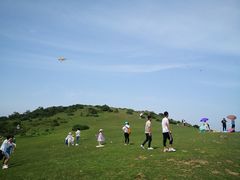 -大姆山草场