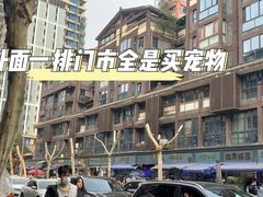 -青石桥花鸟鱼虫市场(叠翠城店)