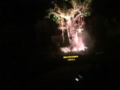 -婺源梦里老家大型山水实景演出