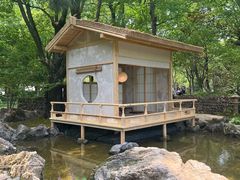 -上海鲜花港