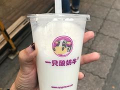 -一只酸奶牛(奎星楼店)