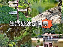 -北岭山森林公园