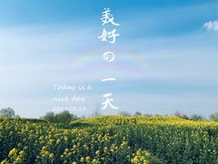 -上海欢乐谷-停车场